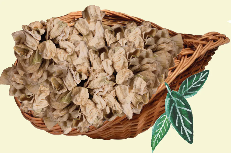 3 Dizim Dolmalık Kabak Kurusu