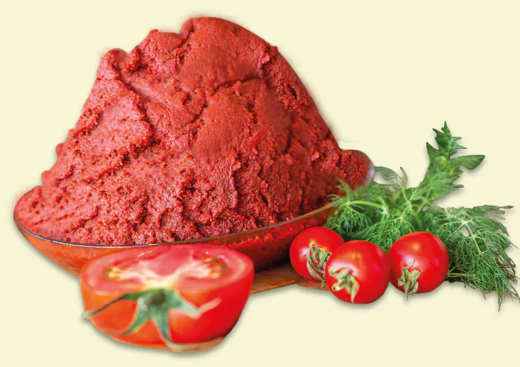 1300 gr. Domates Salçası