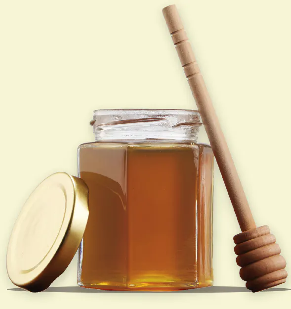 900 gr Süzme Kekik Balı