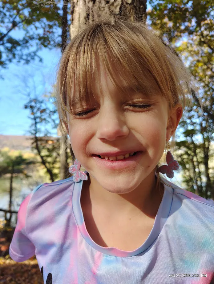 Cotton-Candy Butterflys