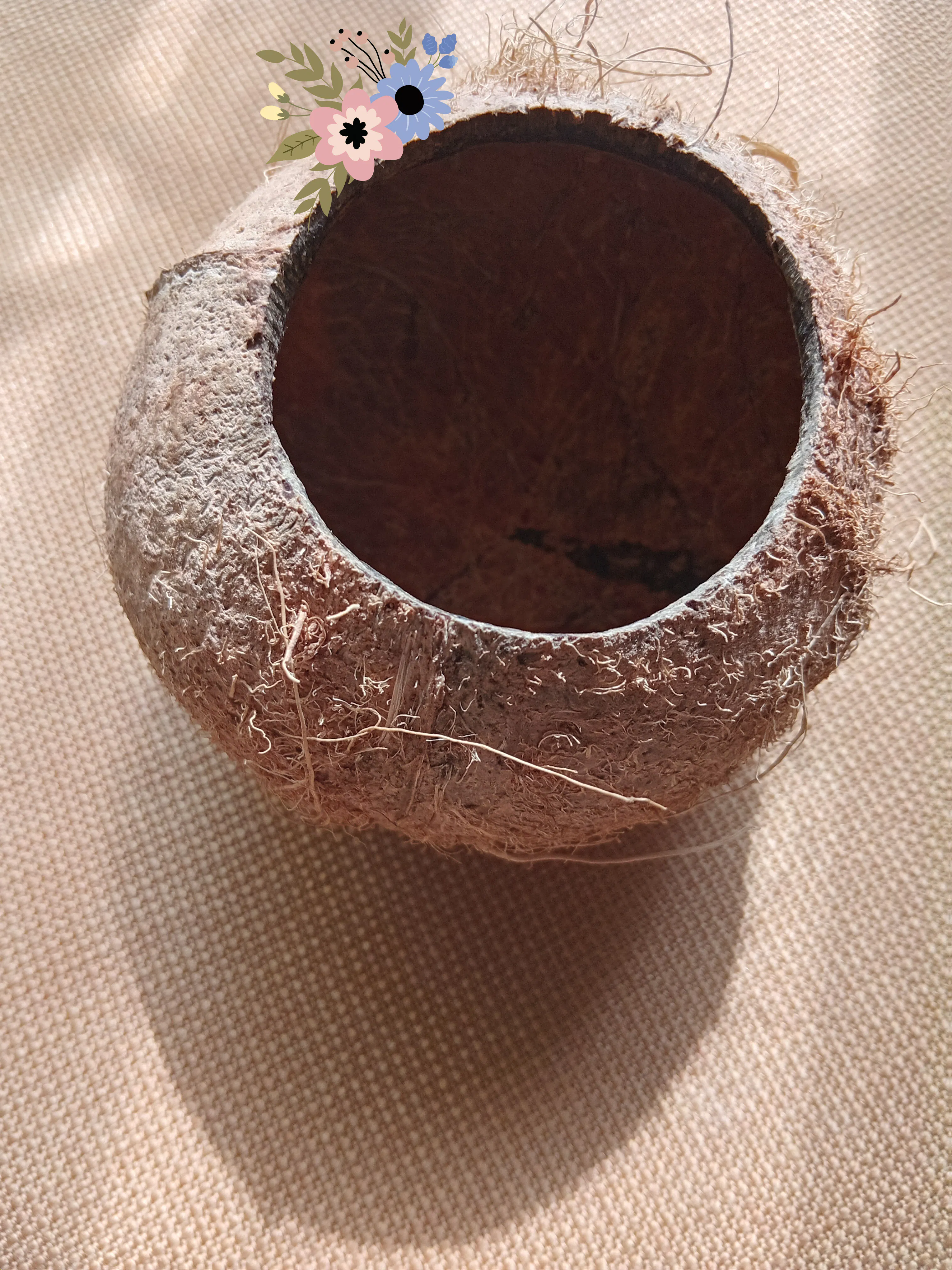 MINI COCO CALABASH